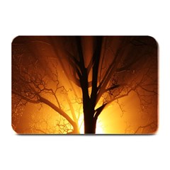 Rays Of Light Tree In Fog At Night Plate Mats