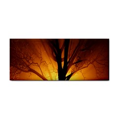 Rays Of Light Tree In Fog At Night Cosmetic Storage Cases