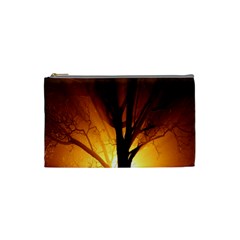 Rays Of Light Tree In Fog At Night Cosmetic Bag (Small) 