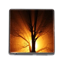 Rays Of Light Tree In Fog At Night Memory Card Reader (Square)
