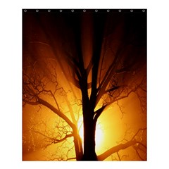 Rays Of Light Tree In Fog At Night Shower Curtain 60  x 72  (Medium) 