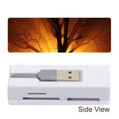 Rays Of Light Tree In Fog At Night Memory Card Reader (Stick) 