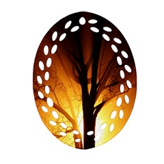 Rays Of Light Tree In Fog At Night Oval Filigree Ornament (Two Sides)