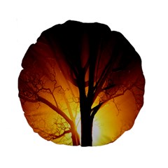 Rays Of Light Tree In Fog At Night Standard 15  Premium Round Cushions