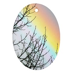 Rainbow Sky Spectrum Rainbow Colors Ornament (Oval)