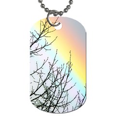 Rainbow Sky Spectrum Rainbow Colors Dog Tag (Two Sides)