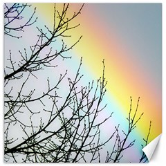 Rainbow Sky Spectrum Rainbow Colors Canvas 20  x 20  