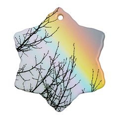 Rainbow Sky Spectrum Rainbow Colors Ornament (Snowflake)