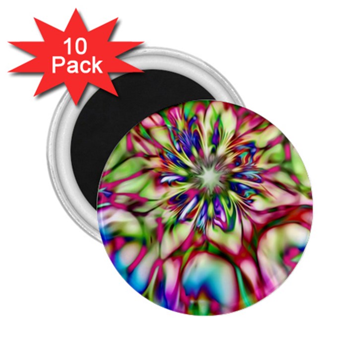 Magic Fractal Flower Multicolored 2.25  Magnets (10 pack) 