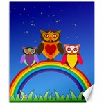 Owls Rainbow Animals Birds Nature Canvas 20  x 24   19.57 x23.15  Canvas - 1