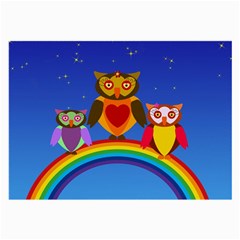 Owls Rainbow Animals Birds Nature Large Glasses Cloth