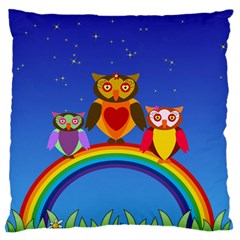 Owls Rainbow Animals Birds Nature Large Flano Cushion Case (two Sides) by Amaryn4rt