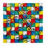 Snakes And Ladders Medium Glasses Cloth (2-Side) Back