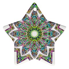 Decorative Ornamental Design Star Ornament (two Sides) by Amaryn4rt