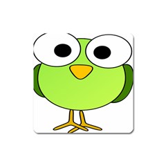 Bird Big Eyes Green Square Magnet by Alisyart