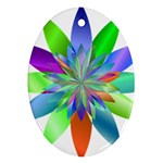 Chromatic Flower Variation Star Rainbow Oval Ornament (Two Sides) Front