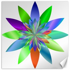 Chromatic Flower Variation Star Rainbow Canvas 20  X 20   by Alisyart