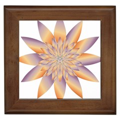 Chromatic Flower Gold Star Floral Framed Tiles