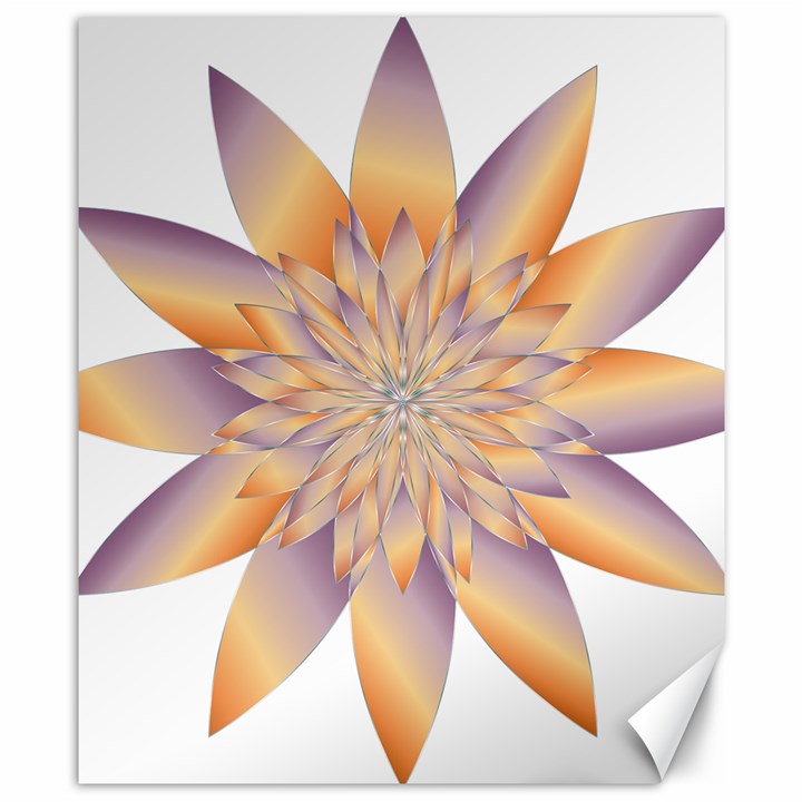 Chromatic Flower Gold Star Floral Canvas 8  x 10 