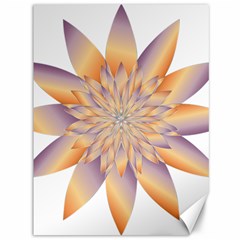 Chromatic Flower Gold Star Floral Canvas 36  X 48  