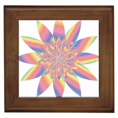 Chromatic Flower Gold Rainbow Star Framed Tiles