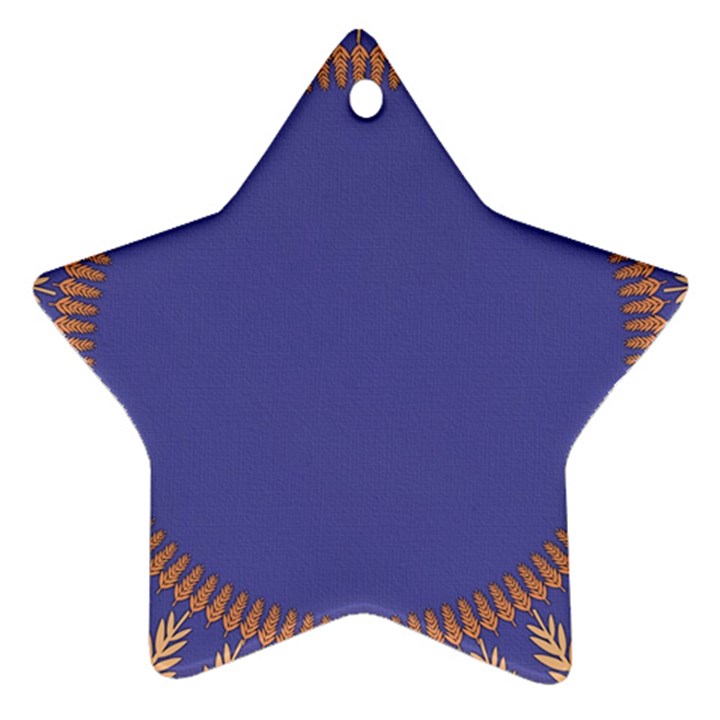 Frame Of Leafs Pattern Background Ornament (Star)