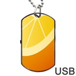 Orange Lime Yellow Fruit Fress Dog Tag USB Flash (Two Sides) Back