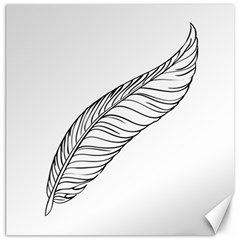 Feather Line Art Canvas 12  x 12  