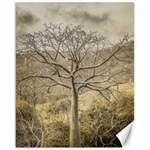 Ceiba Tree At Dry Forest Guayas District   Ecuador Canvas 16  x 20   15.75 x19.29  Canvas - 1
