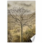 Ceiba Tree At Dry Forest Guayas District   Ecuador Canvas 24  x 36  23.35 x34.74  Canvas - 1