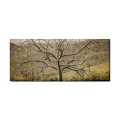 Ceiba Tree At Dry Forest Guayas District   Ecuador Cosmetic Storage Cases by dflcprints