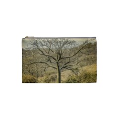 Ceiba Tree At Dry Forest Guayas District   Ecuador Cosmetic Bag (small)  by dflcprints