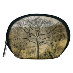 Ceiba Tree At Dry Forest Guayas District   Ecuador Accessory Pouches (medium)  by dflcprints