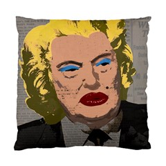 Happy Birthday Mr  President  Standard Cushion Case (two Sides) by Valentinaart