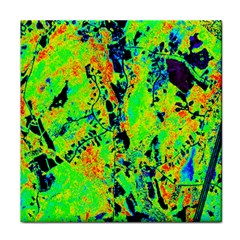Bow Canopy Height Satelite Map Face Towel