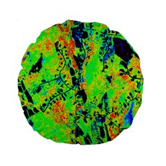 Bow Canopy Height Satelite Map Standard 15  Premium Round Cushions by Alisyart