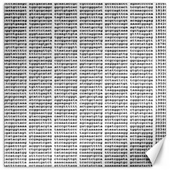 Methods Compositions Detection Of Microorganisms Cells Canvas 16  X 16  