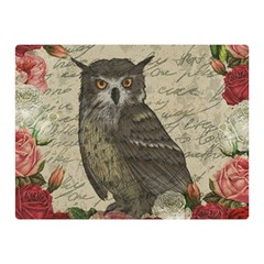 Vintage owl Double Sided Flano Blanket (Mini) 