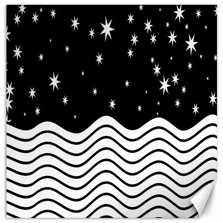 Black And White Waves And Stars Abstract Backdrop Clipart Canvas 16  x 16  