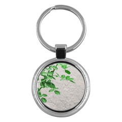 Plants Over Wall Key Chains (round)  by dflcprints