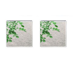 Plants Over Wall Cufflinks (square)