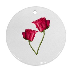 Red Roses Photo Ornament (round) by dflcprints