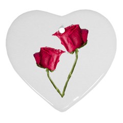 Red Roses Photo Ornament (heart) by dflcprints