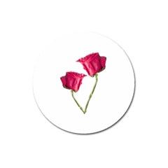 Red Roses Photo Magnet 3  (round)