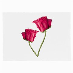 Red Roses Photo Large Glasses Cloth (2-side) by dflcprints