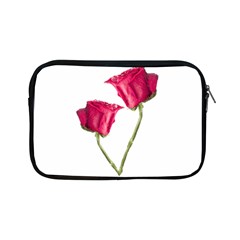 Red Roses Photo Apple Ipad Mini Zipper Cases by dflcprints