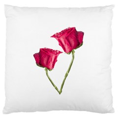 Red Roses Photo Standard Flano Cushion Case (one Side) by dflcprints