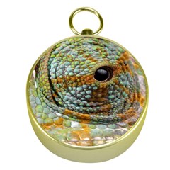 Macro Of The Eye Of A Chameleon Gold Compasses by Simbadda