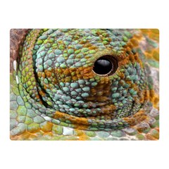 Macro Of The Eye Of A Chameleon Double Sided Flano Blanket (mini)  by Simbadda