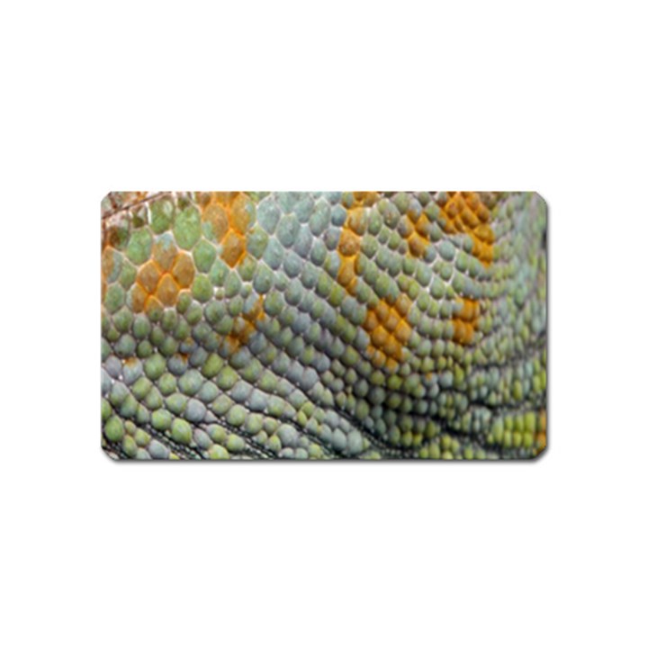 Macro Of Chameleon Skin Texture Background Magnet (Name Card)